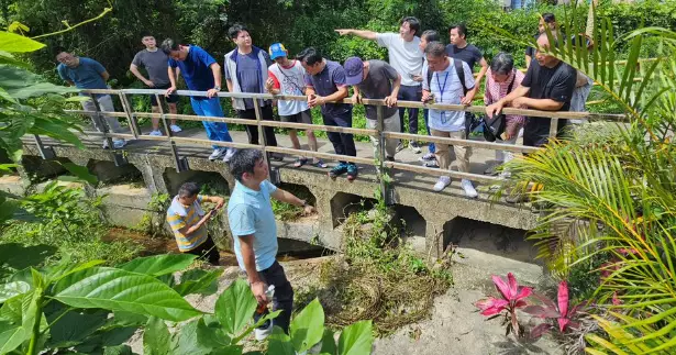 跟進大埔水浸黑點，應對極端天氣