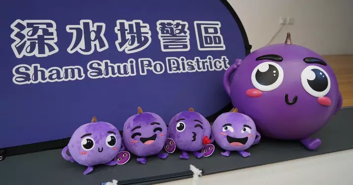 提子入校園• 防騙宣傳