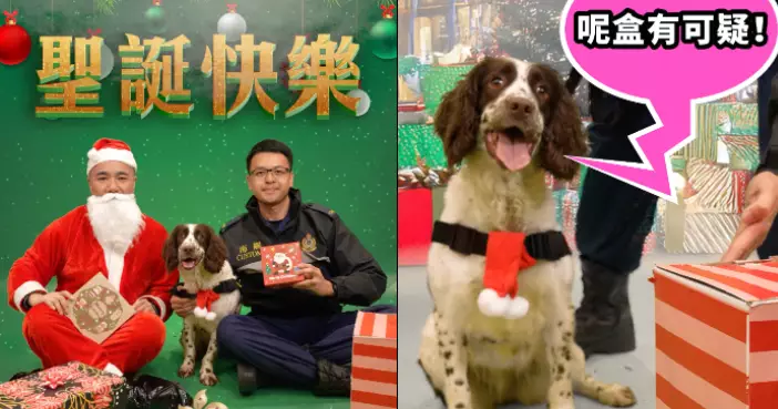 香港海關：聖誕特輯 – 海關搜查犬