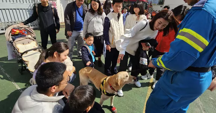 大埔區防災應急嘉年華順利舉行 街坊市民熱烈支持