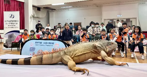 新界南X香港童軍總會 探秘生物多樣性！童軍獲頒「愛護動物徽章」