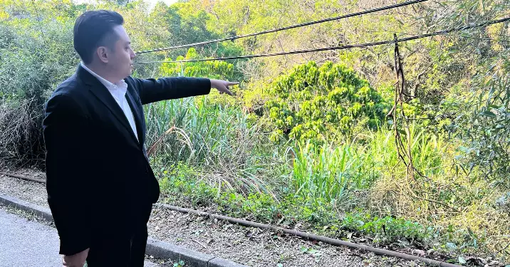 沙田區議員緊急清理馬鞍山村路斷枝 協力處理「殭屍車」亂象