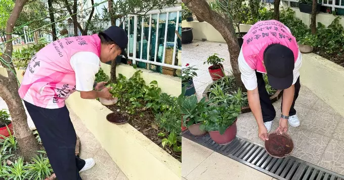 應對風雨季 大埔多方攜手預防蚊蟲滋生