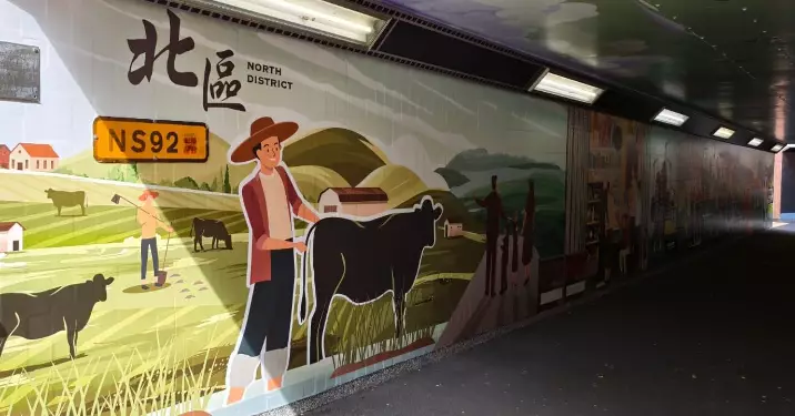 粉嶺有條時光隧道️