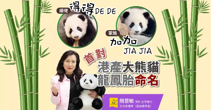 📣首對港產大熊貓龍鳳胎終於有正式名字啦📣