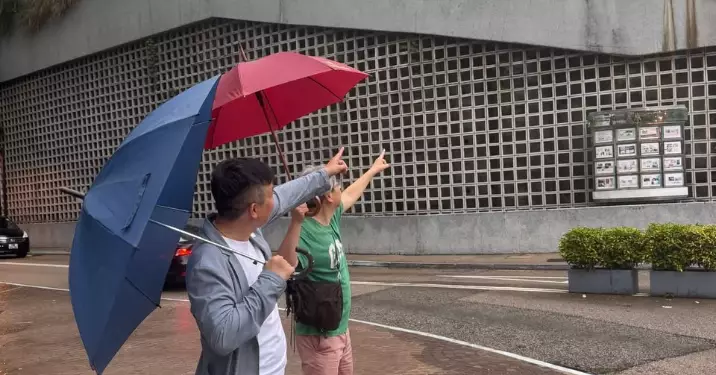觀塘匯景花園大樹菠蘿樹引鼠患 跨部門迅速處理