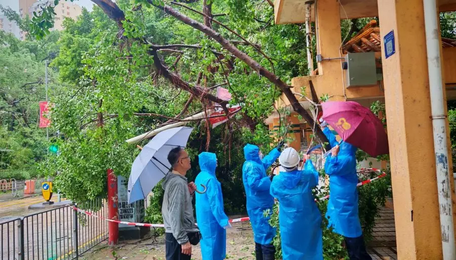 超強颱風 #樺加沙前後