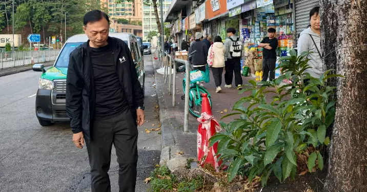 屯門區議員與多部門視察區內樹木安全隱患 跟進民生安全問題