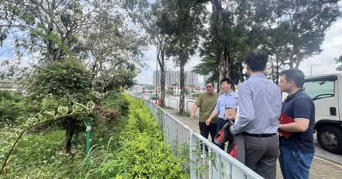 李啟立建議活化馬田路花圃 改建元朗市中心街心公園