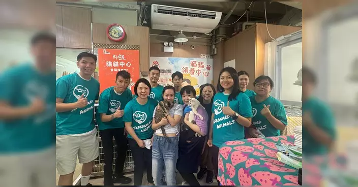 東九龍保護動物義工隊完成最後任務 籲領養不棄養