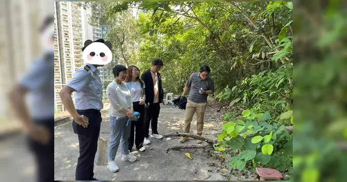 視察鴨脷洲滅蚊工作 林玉珍聯同食環署及康文署代表巡視多個蚊患黑點