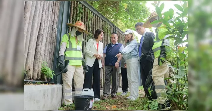 郭芙蓉聯同多名區議員視察青衣東北公園 督導防蚊清潔工作