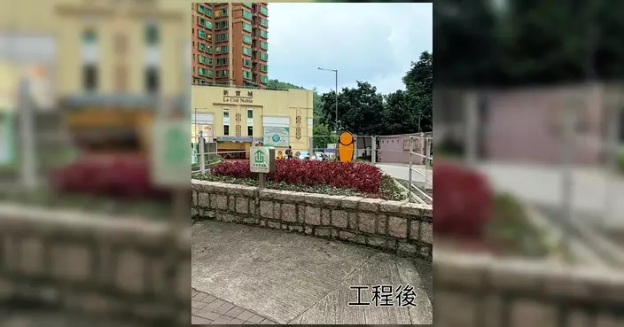 黃遠康跟進坑口花圃修剪 行人過路視線回復清晰
