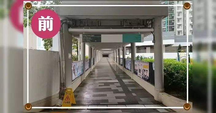 海達邨防滑帶工程全面竣工 議員落雨驗證成效