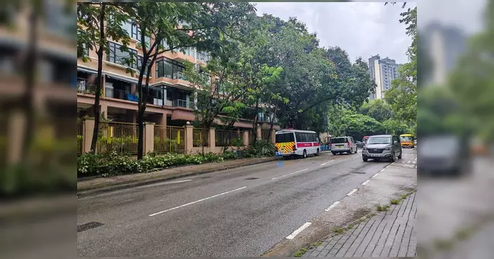 青山公路古洞段塌樹已完成清理 交通恢復正常