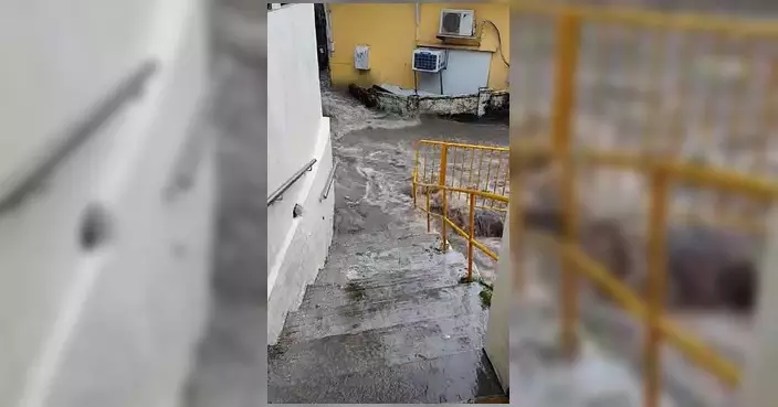 暴雨後走訪井頭村 謝永恒跟進水浸協助申請援助