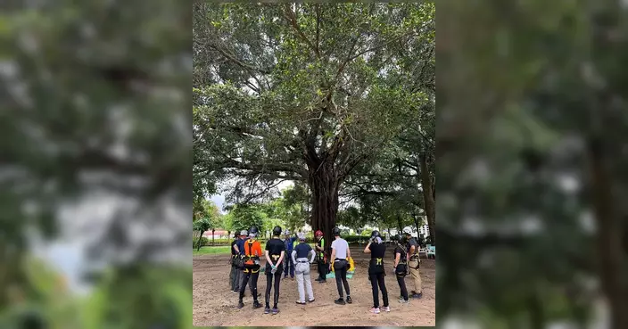 警方繩網會康樂攀樹課程圓滿結束 學員掌握專業技術體驗攀樹樂趣