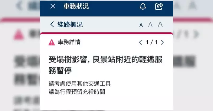 良景站塌樹已清理 輕鐵服務逐步回復正常
