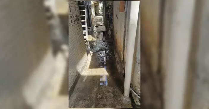 張培剛聯同多個部門視察鯉魚門 商討污水倒灌解決方案