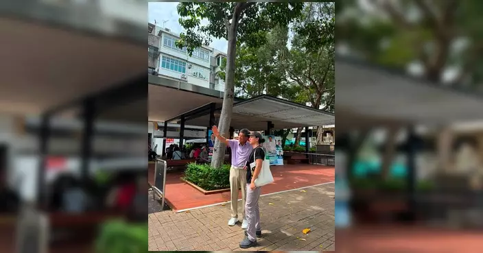 陳權軍陪同樹木管理組巡查西貢 反映居民樹木安全意見
