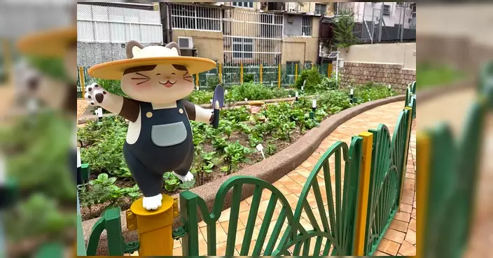 匯安里社區園圃正式啟用 荷李活道「喵星人」換新裝進駐