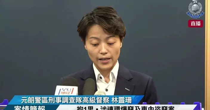 元朗警區拘39歲本地男 涉連環爆竊及車內盜竊案