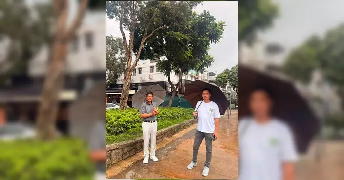 陳權軍李天賜跟進宜春街垃圾站旁樹木安全問題