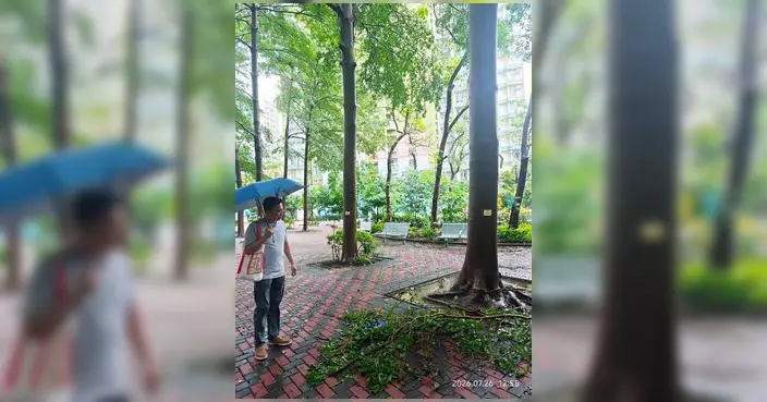 陳偉明元州區一帶巡查風後情況 提醒街坊外出小心