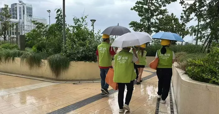 颱風「紅霞」漸遠 碧匯關愛隊巡查發現數棵樹木倒塌