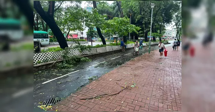 颱風紅霞遠離 石湖墟大致正常 街坊需留意路上樹枝