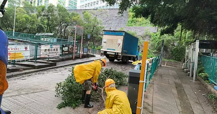 3號強風信號生效 麗瑤邨風後迅速清理恢復暢通