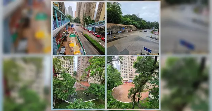 越毅強風後巡區 鳳德一帶大致正常僅現小塌樹