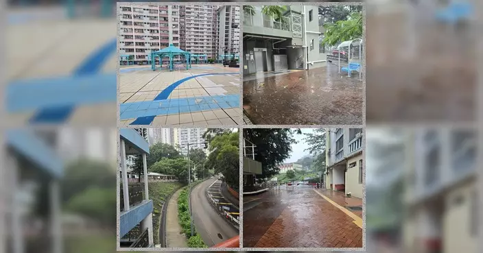 民建聯黃大仙團隊風後巡區 發現樹木折斷及水馬吹倒已通報跟進