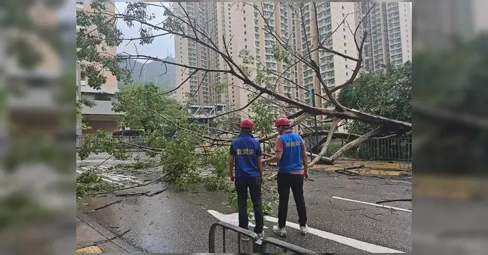 陳恒鑌風雨後巡視葵青荃灣 跟進塌樹及損壞燈柱