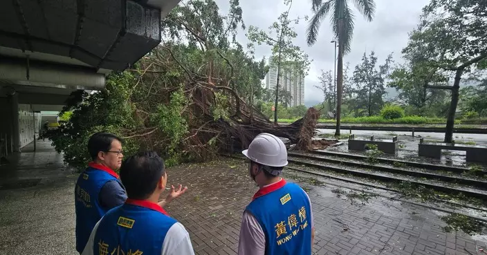 颱風紅霞登陸後逐漸遠離 陳克勤與民建聯團隊巡視大埔沙田災後情況