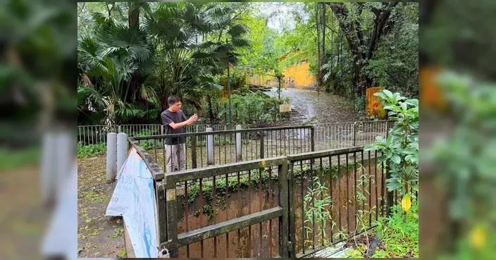 羅曉楓颱風後跟進馬窩路樹木倒塌及渠道情況