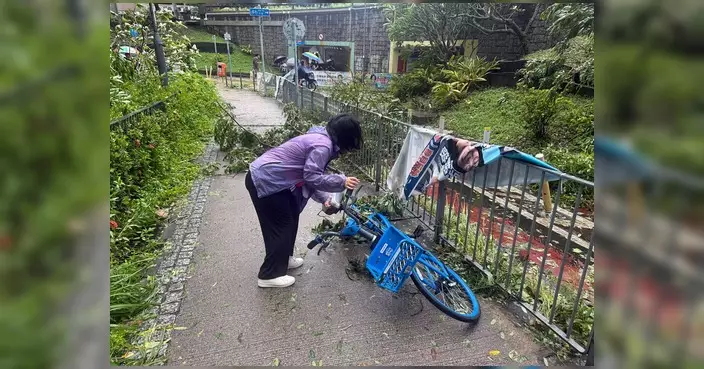 颱風紅霞遠離 陳建君巡區跟進塌樹水浸促部門加快清理