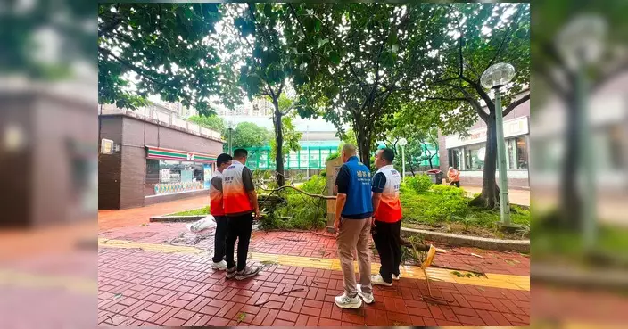 颱風紅霞襲港 鞍泰區塌樹窗破已跟進清理