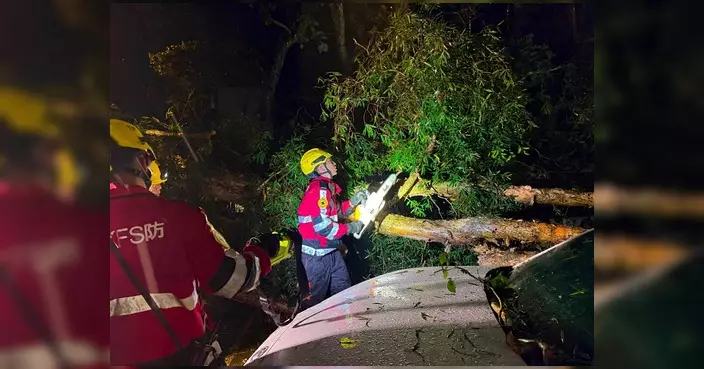 消防處風雨中處理189宗塌樹 另助兩船事故3人脫困
