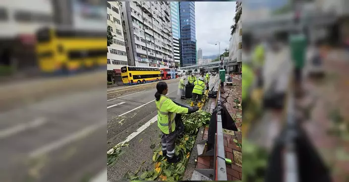 東區食環署清潔工颱風後迅速清理街道 網民呼籲多點感恩