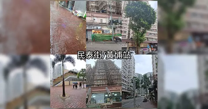 颱風後巡視區內安全隱患 黃馳跟進塌樹棚架及雜物