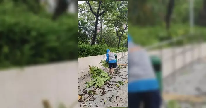 馬軼超議員率關愛隊清理功樂道 風後助社區復常