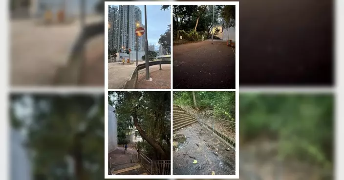 荃威關愛隊風前風後巡區 清理塌樹枝及渠道
