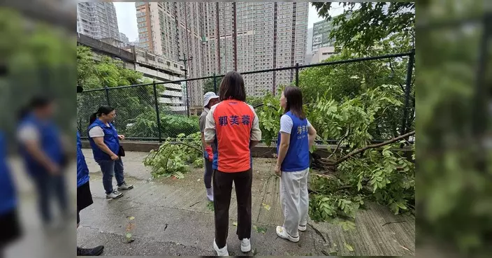郭芙蓉風球過後落區視察 葵涌石籬一帶大致正常