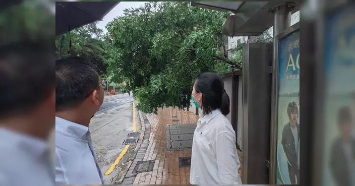 三號風球生效 林偉江巡區提醒留意棚架樹木安全