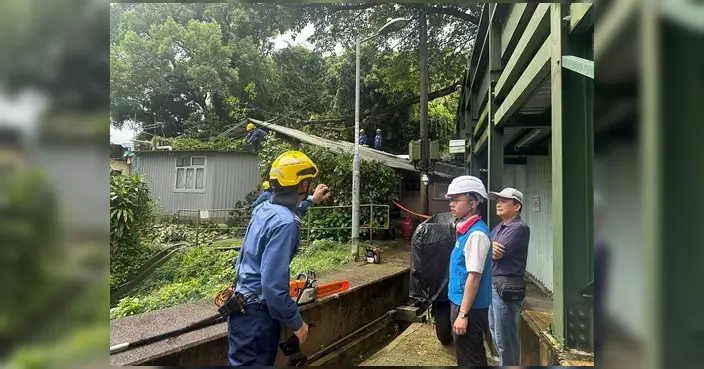 火炭村塌樹壓電纜 消防中電到場處理料上午恢復供電