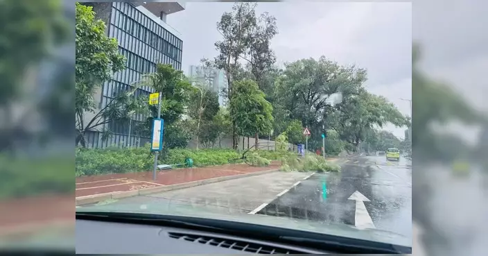 陳貴和8號風球期間巡區 未接獲市民求助