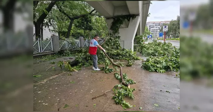颱風紅霞遠離 安定關愛隊風後即出動清理社區