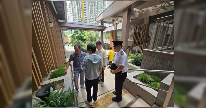 何坤洲聯同張德偉及多部門跟進麗翠苑滅蚊工作