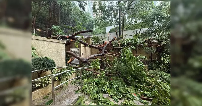 渣甸山安老院塌樹壓毀食水管 關愛隊緊急送樽裝水解困